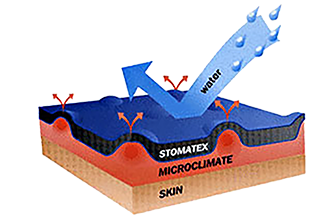 Stomatex Diagram